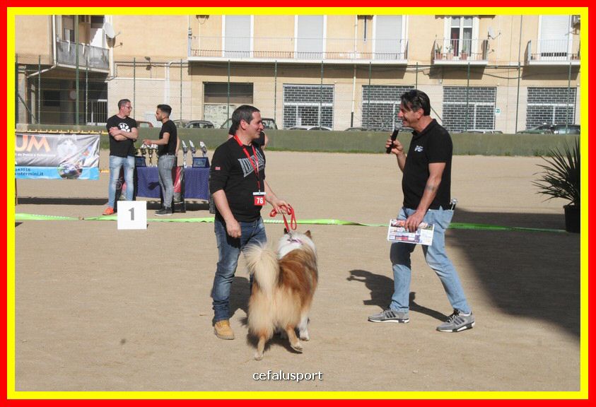 180311 mostra_canina 006.jpg